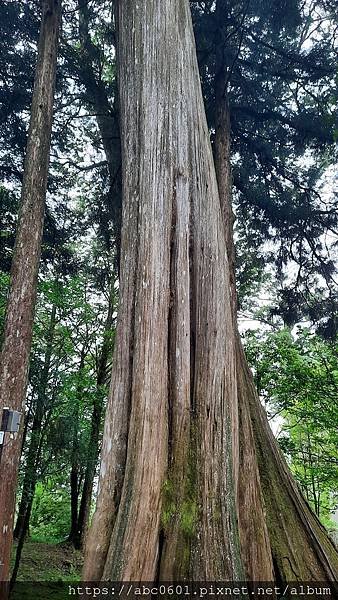 20200706_151831.jpg