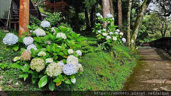 20200706_155842.jpg