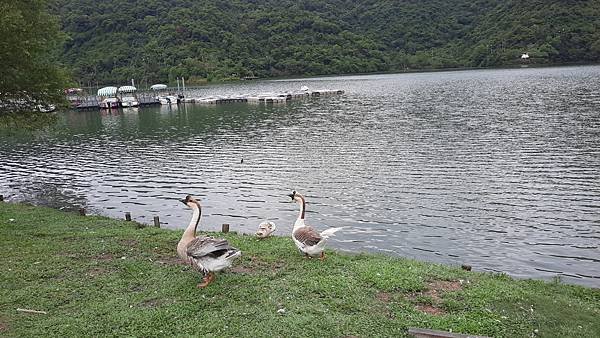 20200828_160815.jpg