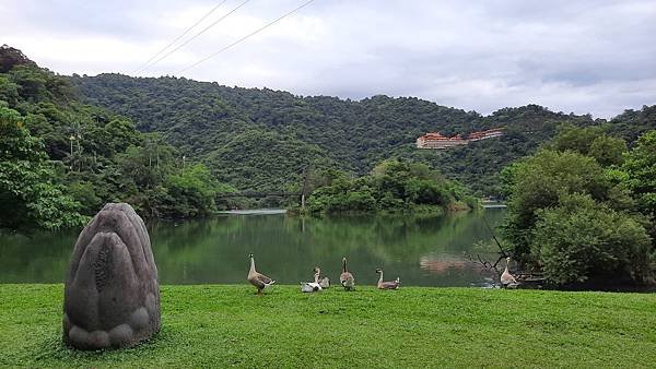 20200828_170150.jpg