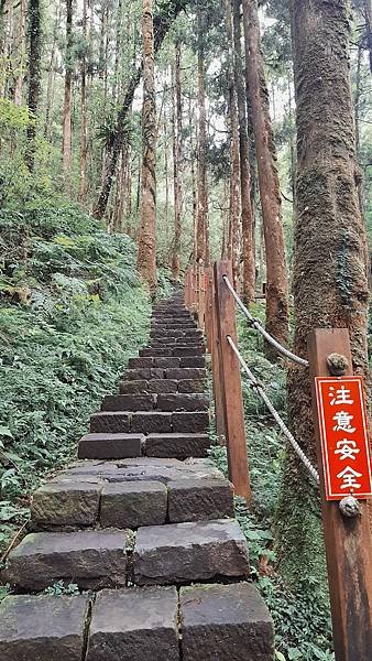IMG_20201215_233709.jpg