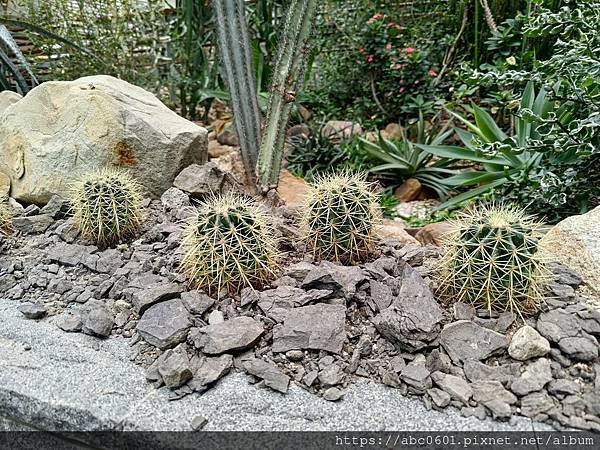 臺北典藏植物園