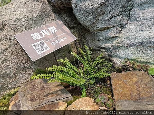 臺北典藏植物園