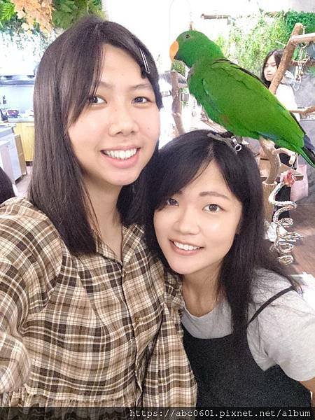PARROT COFFEE 派洛特咖啡（台灣人文動物關懷協會