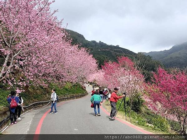 雲林 霧里雲間景觀餐廳（石壁蘇家農場）