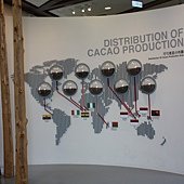IMG_9493