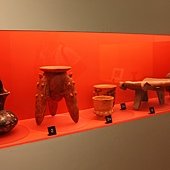 IMG_9554