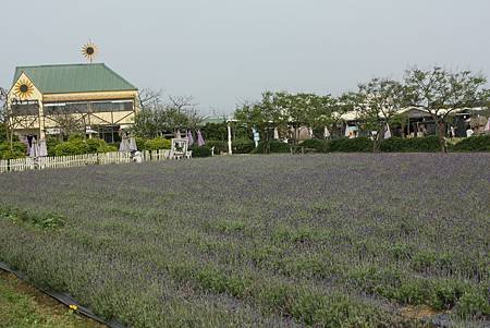IMG_3349.jpg