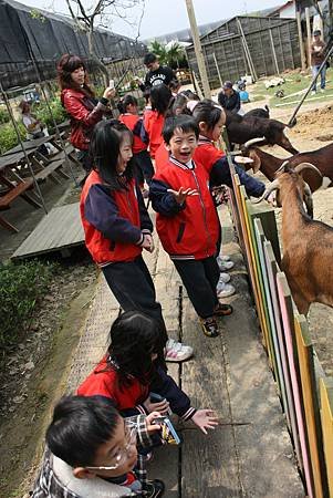IMG_3077.jpg