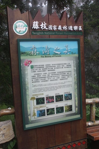 IMG_3688.jpg