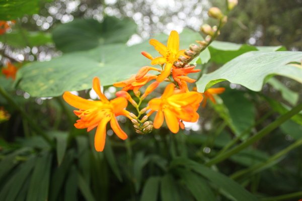 IMG_3689.jpg