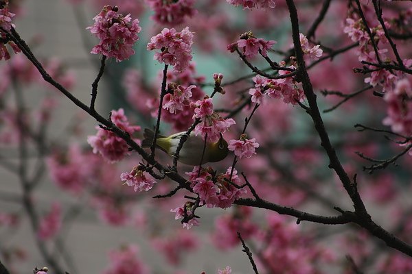 IMG_1099.jpg