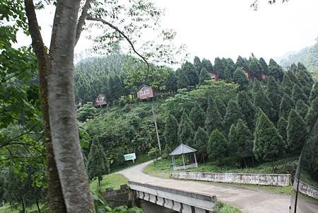 IMG_4528.jpg