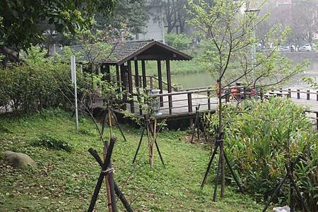 IMG_1875.jpg