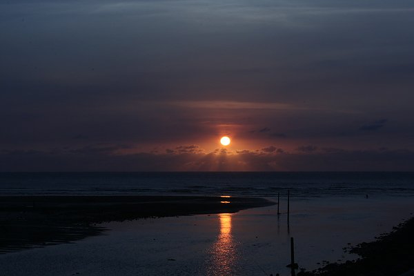 IMG_1600.jpg