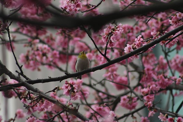 IMG_1127.jpg