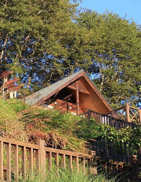 為天地寫日記(雪山登山口日出，武陵農場、梨山、合歡山風景)