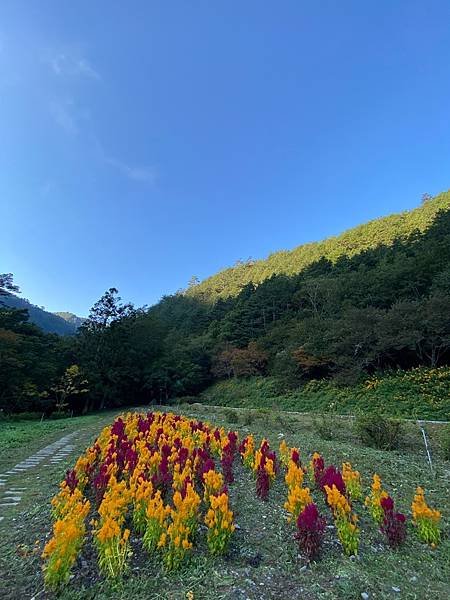 為天地寫日記(雪山登山口日出，武陵農場、梨山、合歡山風景)