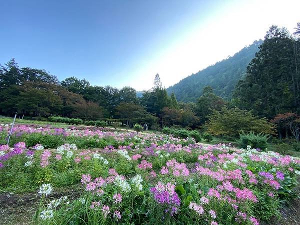 為天地寫日記(雪山登山口日出，武陵農場、梨山、合歡山風景)