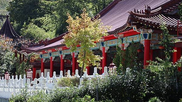 為天地寫日記(雪山登山口日出，武陵農場、梨山、合歡山風景)