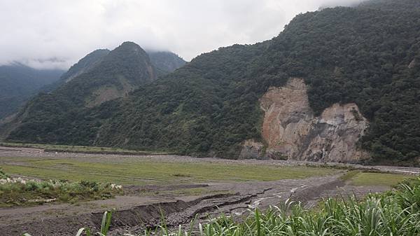 生活分享(瘡痍山林)