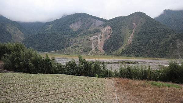 生活分享(瘡痍山林)