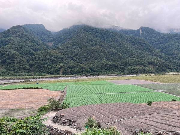 生活分享(瘡痍山林)