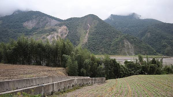 生活分享(瘡痍山林)