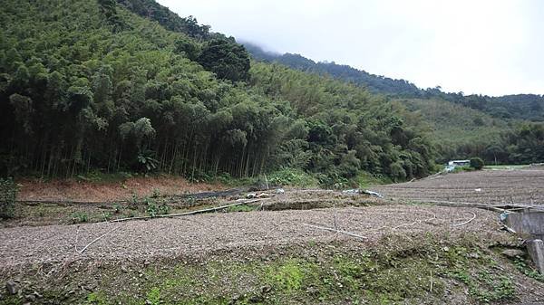 生活分享(瘡痍山林)