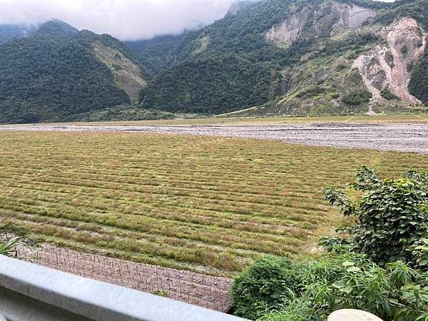 生活分享(瘡痍山林)