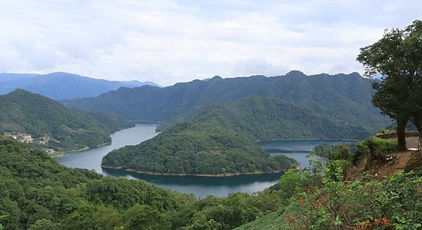 為天地寫日記(石碇、深坑、中正紀念堂、金苞花、射干)