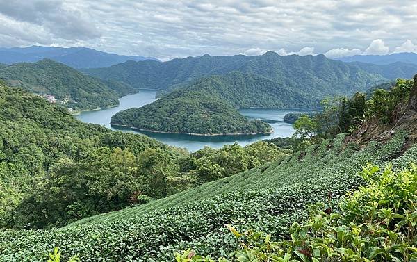 為天地寫日記(石碇、深坑、中正紀念堂、金苞花、射干)