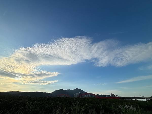 為天地寫日記(淡水夕陽、貓與朱槿)(2023.11.08)