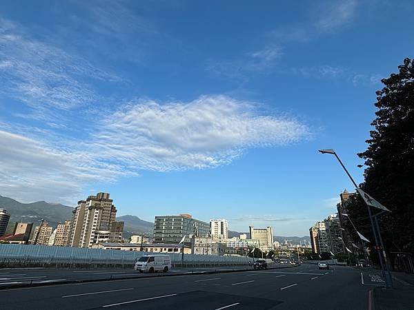 為天地寫日記(淡水夕陽、貓與朱槿)(2023.11.08)