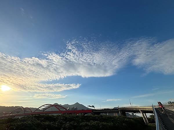 為天地寫日記(淡水夕陽、貓與朱槿)(2023.11.08)