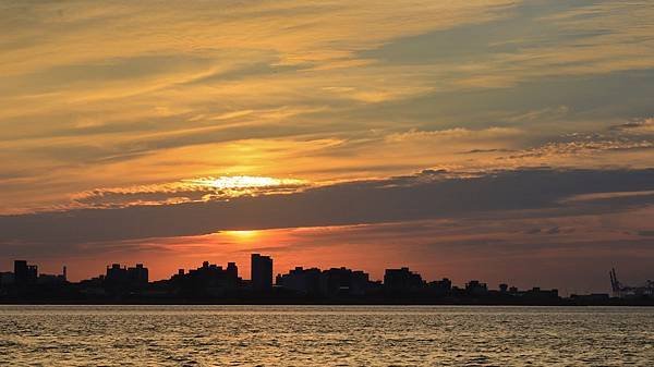 為天地寫日記(淡水夕陽、貓與朱槿)(2023.11.08)