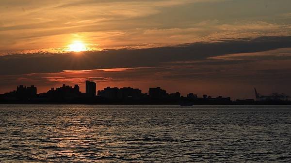 為天地寫日記(淡水夕陽、貓與朱槿)(2023.11.08)