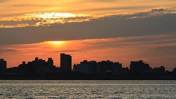 為天地寫日記(淡水夕陽、貓與朱槿)(2023.11.08)