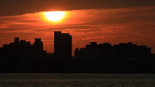 為天地寫日記(淡水夕陽、貓與朱槿)(2023.11.08)