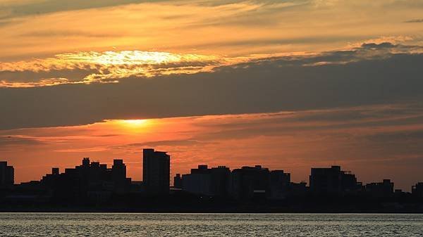 為天地寫日記(淡水夕陽、貓與朱槿)(2023.11.08)