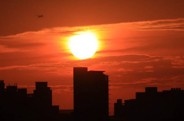 為天地寫日記(淡水夕陽、貓與朱槿)(2023.11.08)