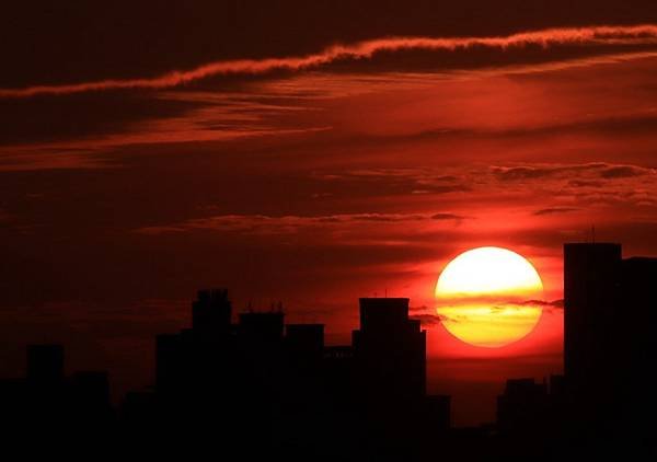 為天地寫日記(淡水夕陽、貓與朱槿)(2023.11.08)