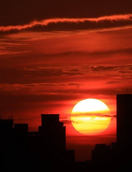 為天地寫日記(淡水夕陽、貓與朱槿)(2023.11.08)