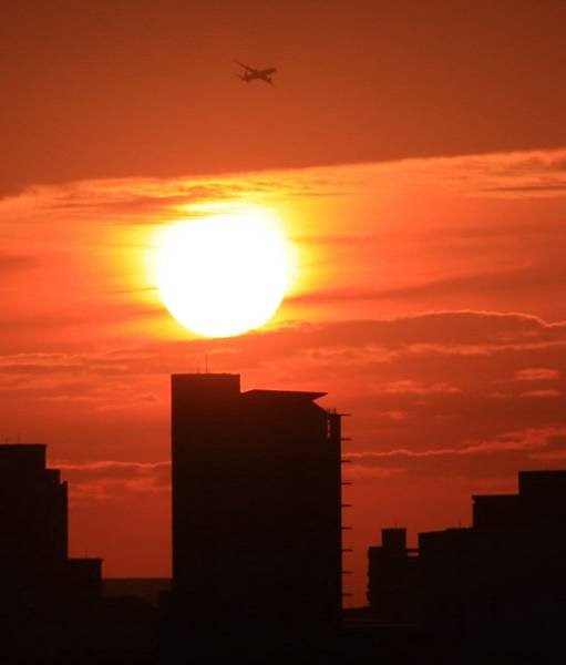 為天地寫日記(淡水夕陽、貓與朱槿)(2023.11.08)