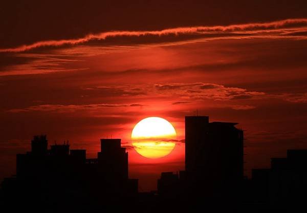 為天地寫日記(淡水夕陽、貓與朱槿)(2023.11.08)