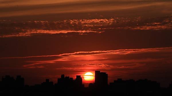 為天地寫日記(淡水夕陽、貓與朱槿)(2023.11.08)