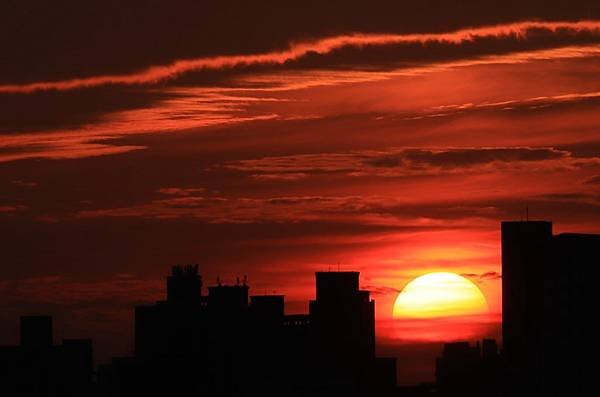 為天地寫日記(淡水夕陽、貓與朱槿)(2023.11.08)