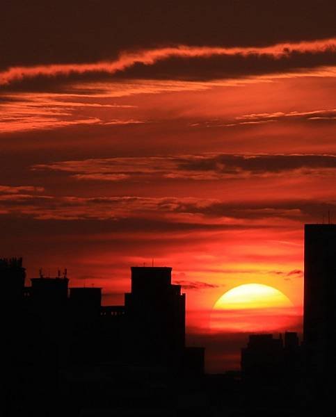 為天地寫日記(淡水夕陽、貓與朱槿)(2023.11.08)