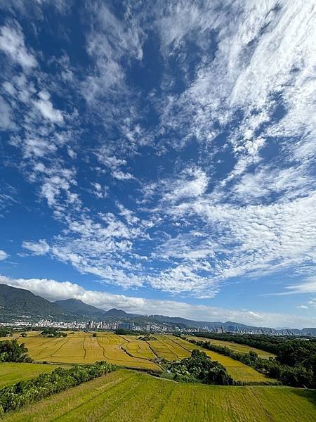 為天地寫日記(關渡靜思堂、大愛台、宇宙大覺者)