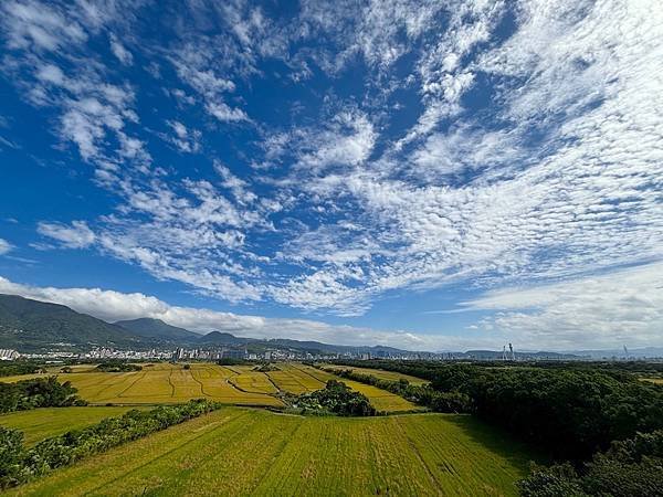 為天地寫日記(關渡靜思堂、大愛台、宇宙大覺者)